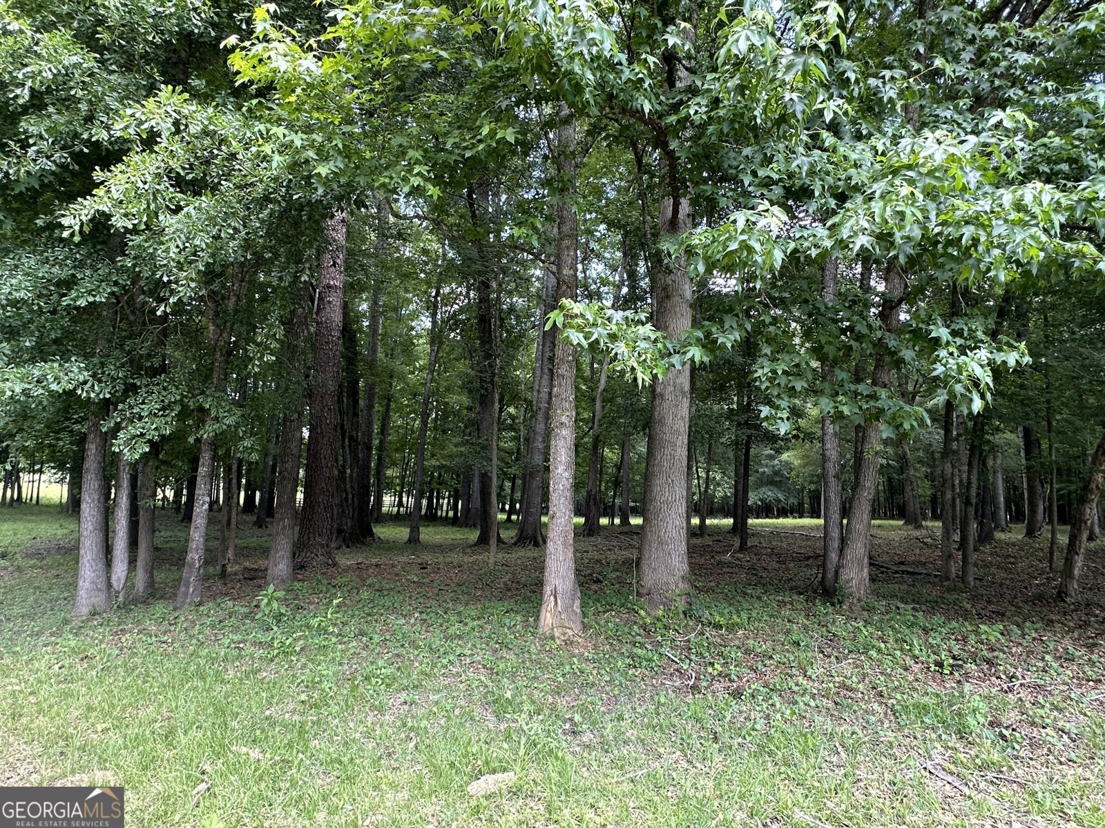 131 River Cove Road Woodbury - 18