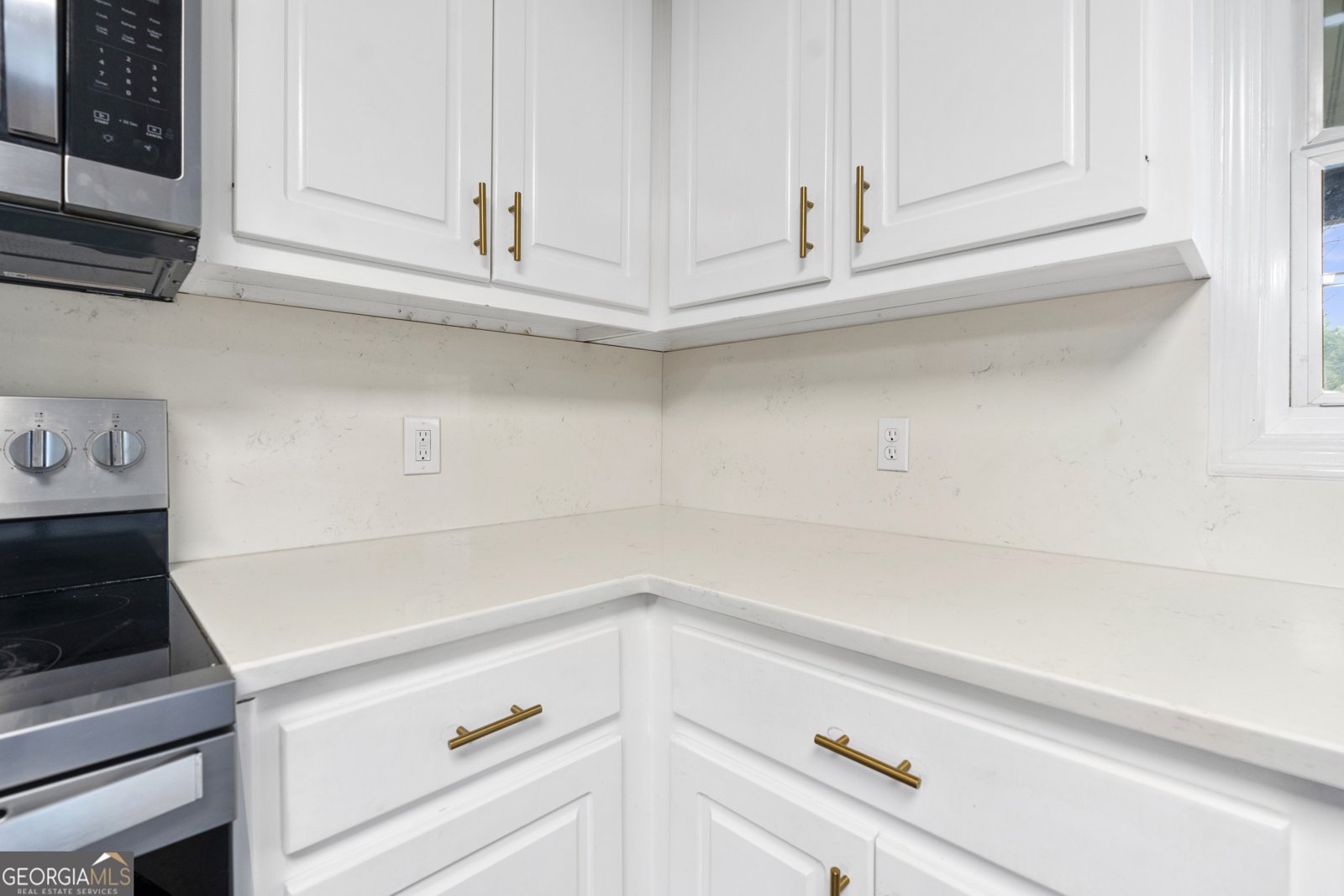 499 Old Deer Path Way Cleveland - 22