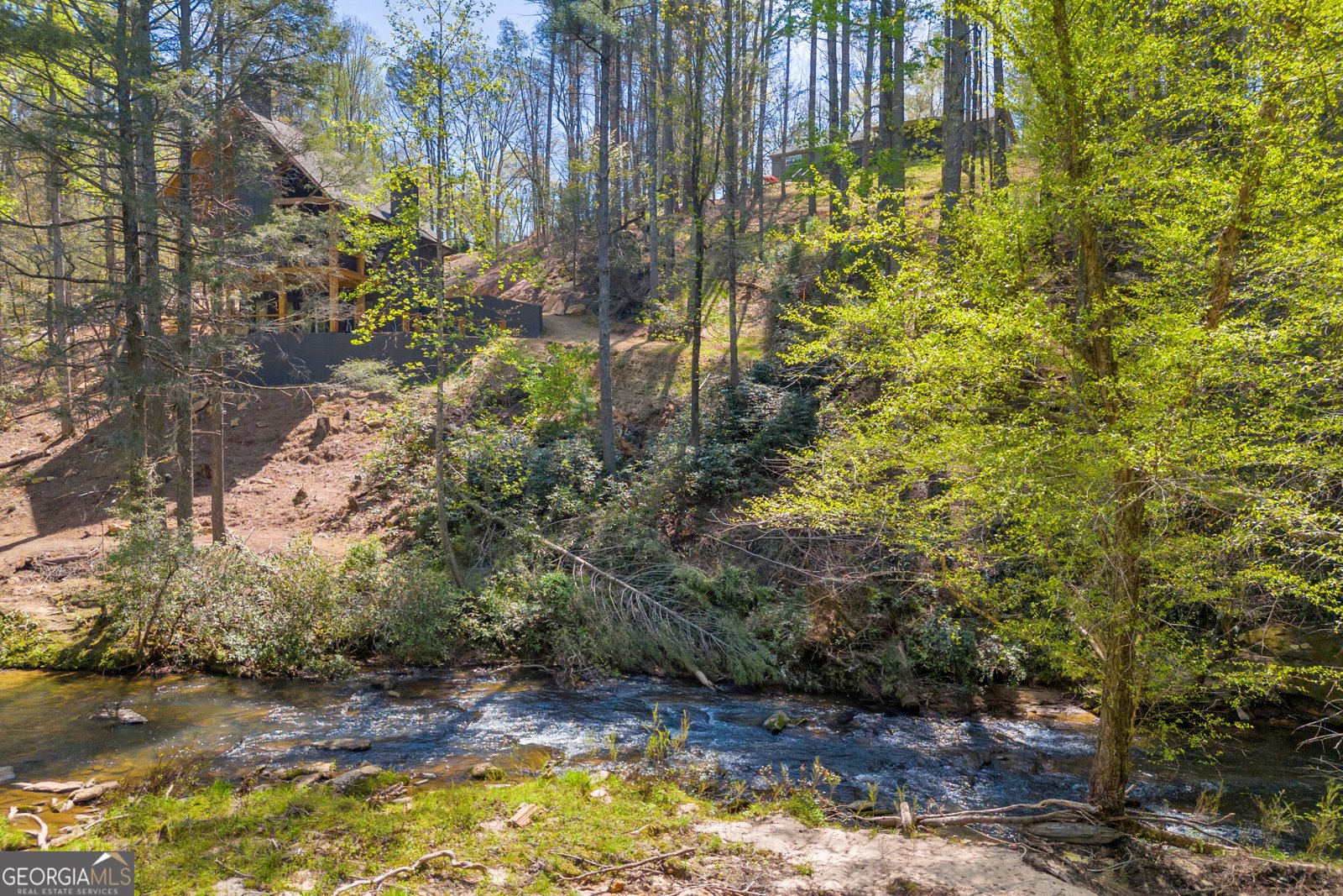 499 Old Deer Path Way Cleveland - 63