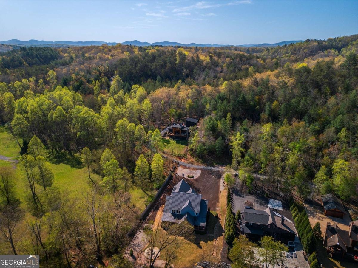 1934 Hogback Drive Blue Ridge - 44