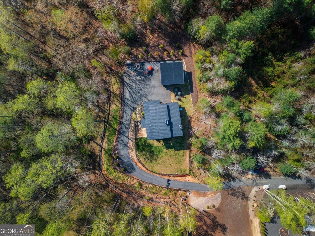 1934 Hogback Drive Blue Ridge - 46