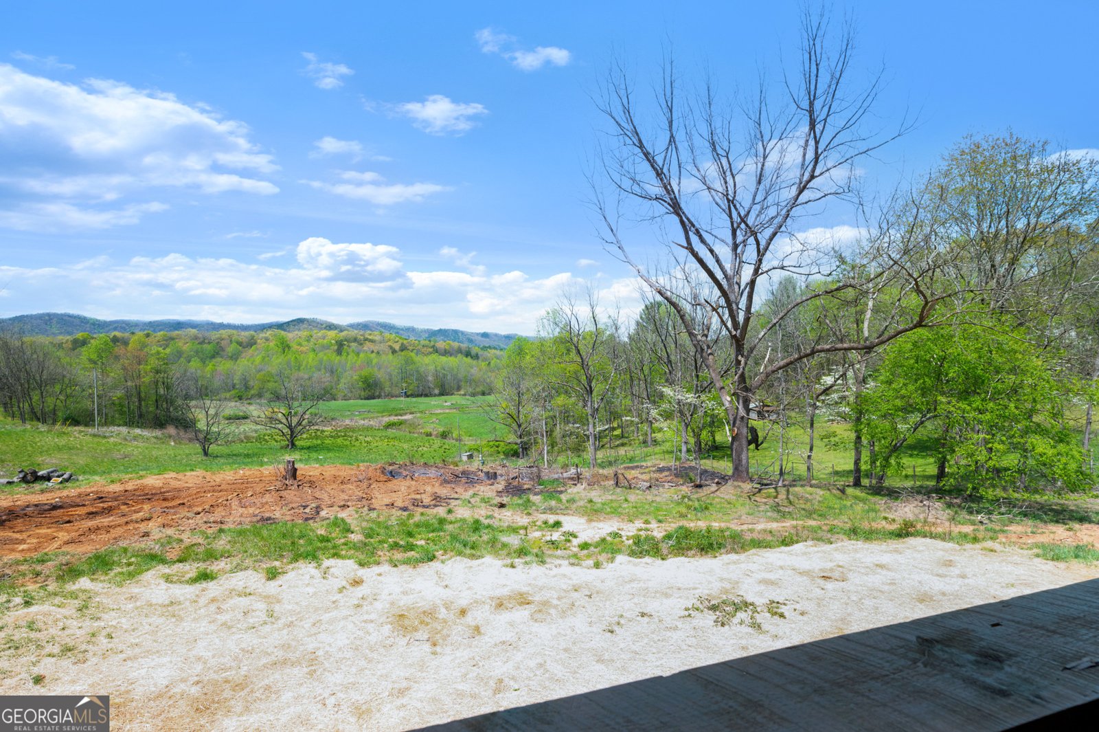7590 Mobile Road Blue Ridge - 17