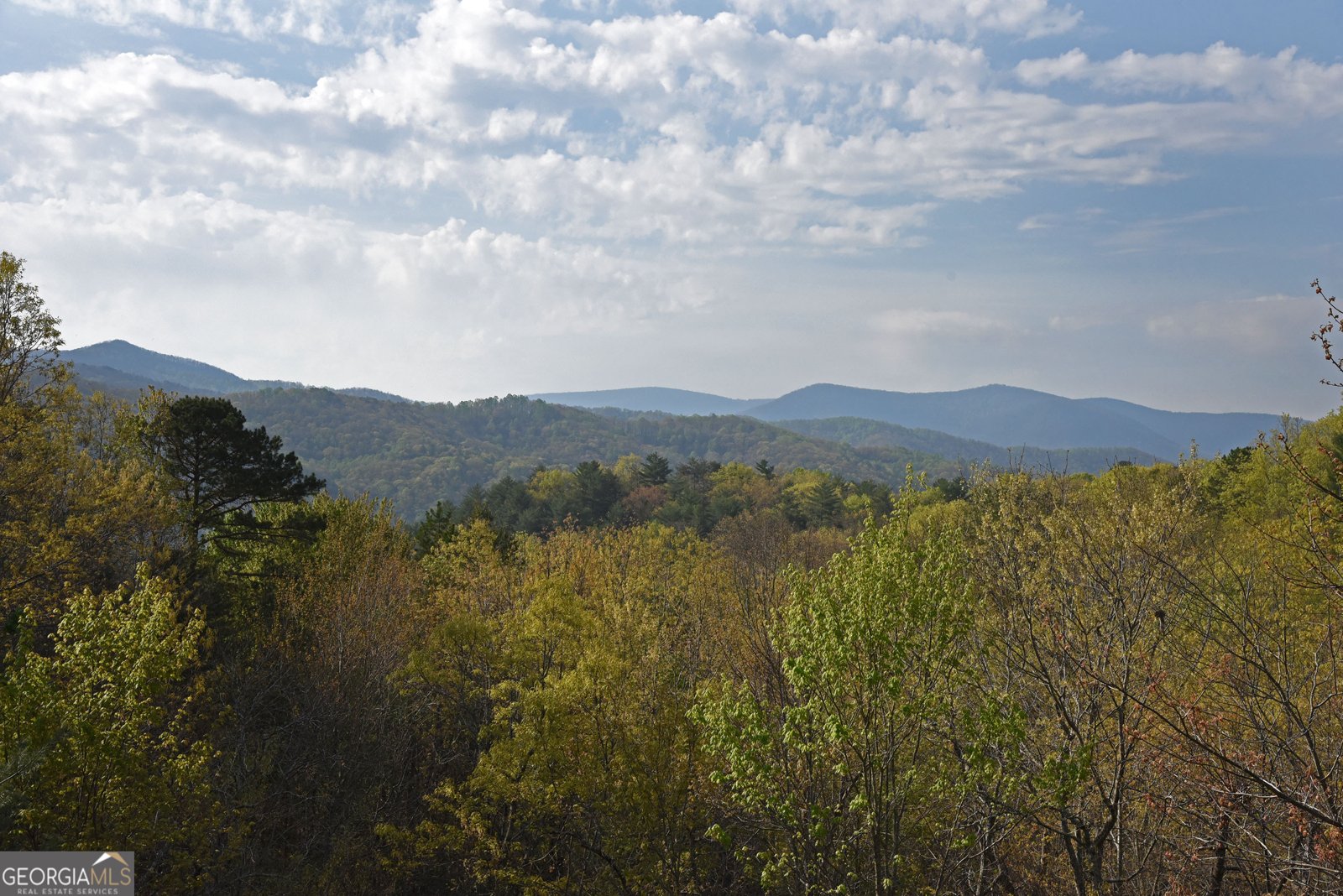 77 Walhala Trail Blue Ridge - 12