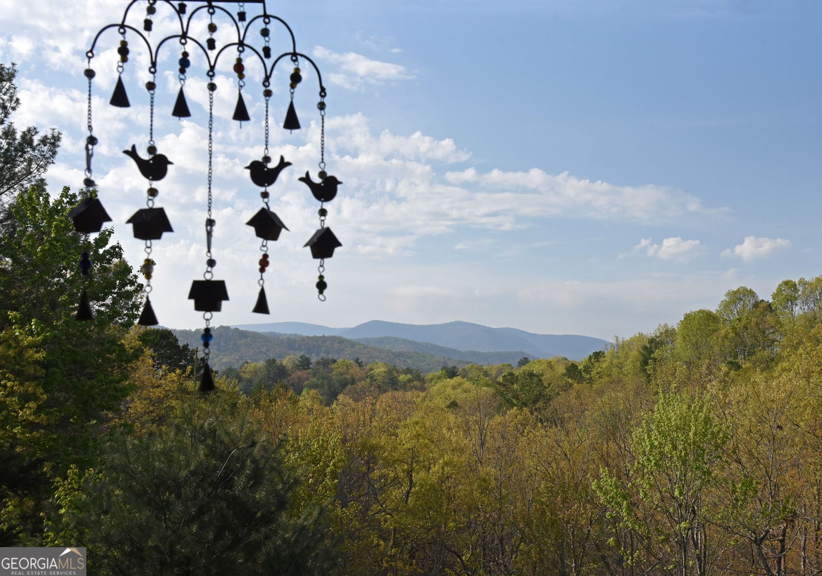 77 Walhala Trail Blue Ridge - 2