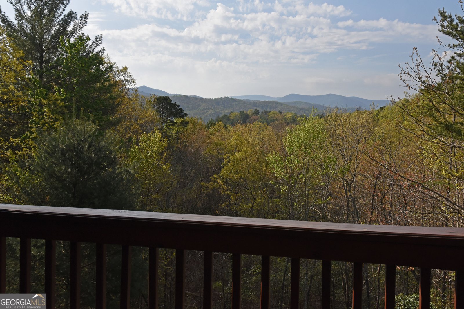 77 Walhala Trail Blue Ridge - 7