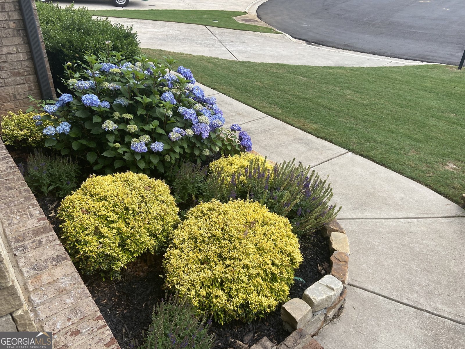 9240 Hollywood Drive Gainesville - 47