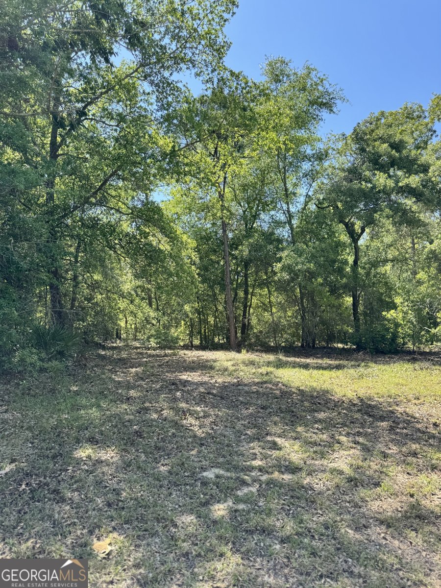 101 Ridge Drive Claxton - 43