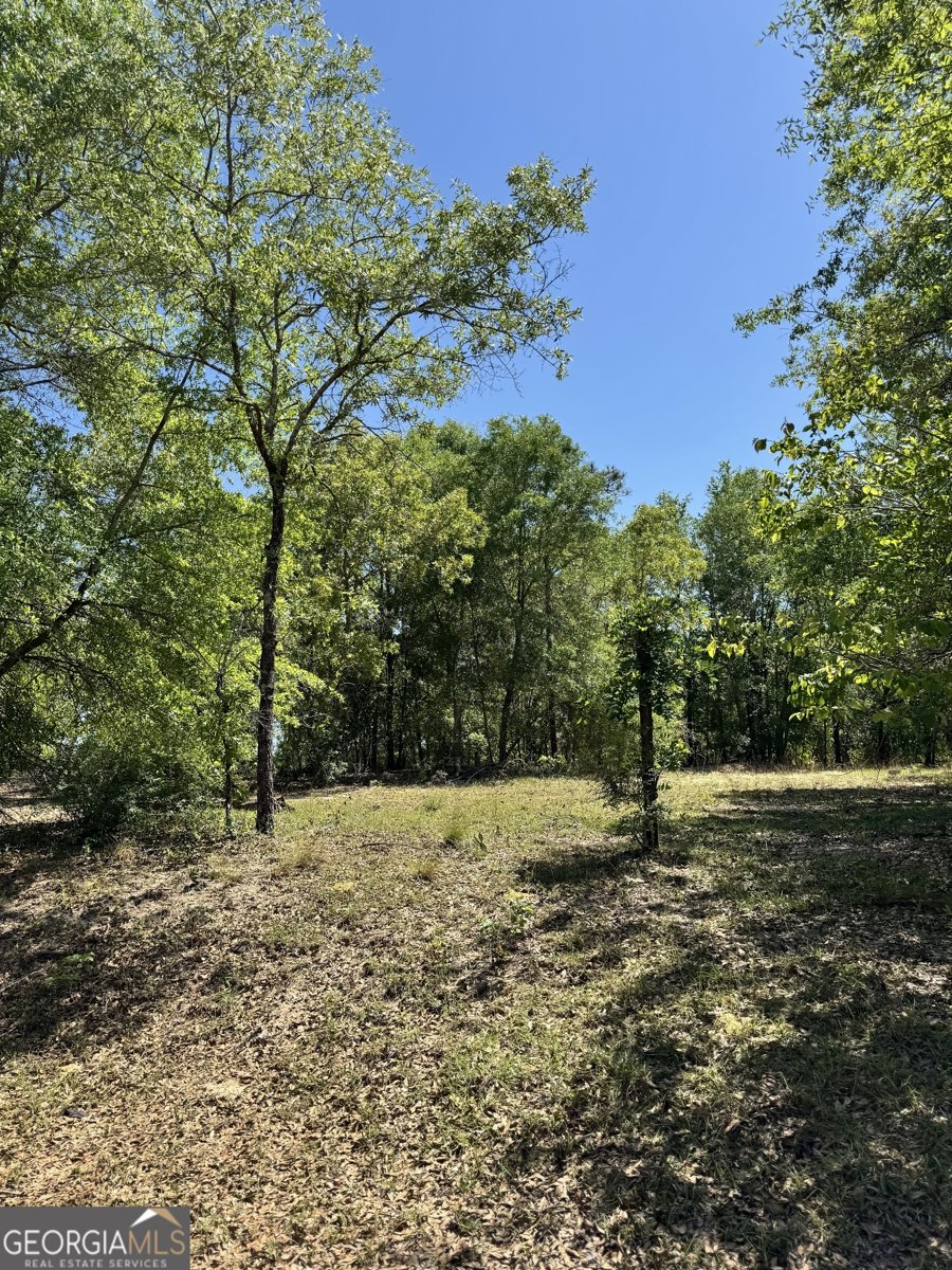 101 Ridge Drive Claxton - 44