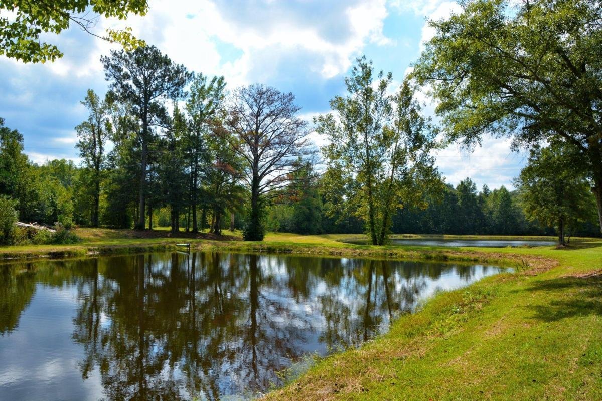 301 Spruill Bridge Road Temple - 66