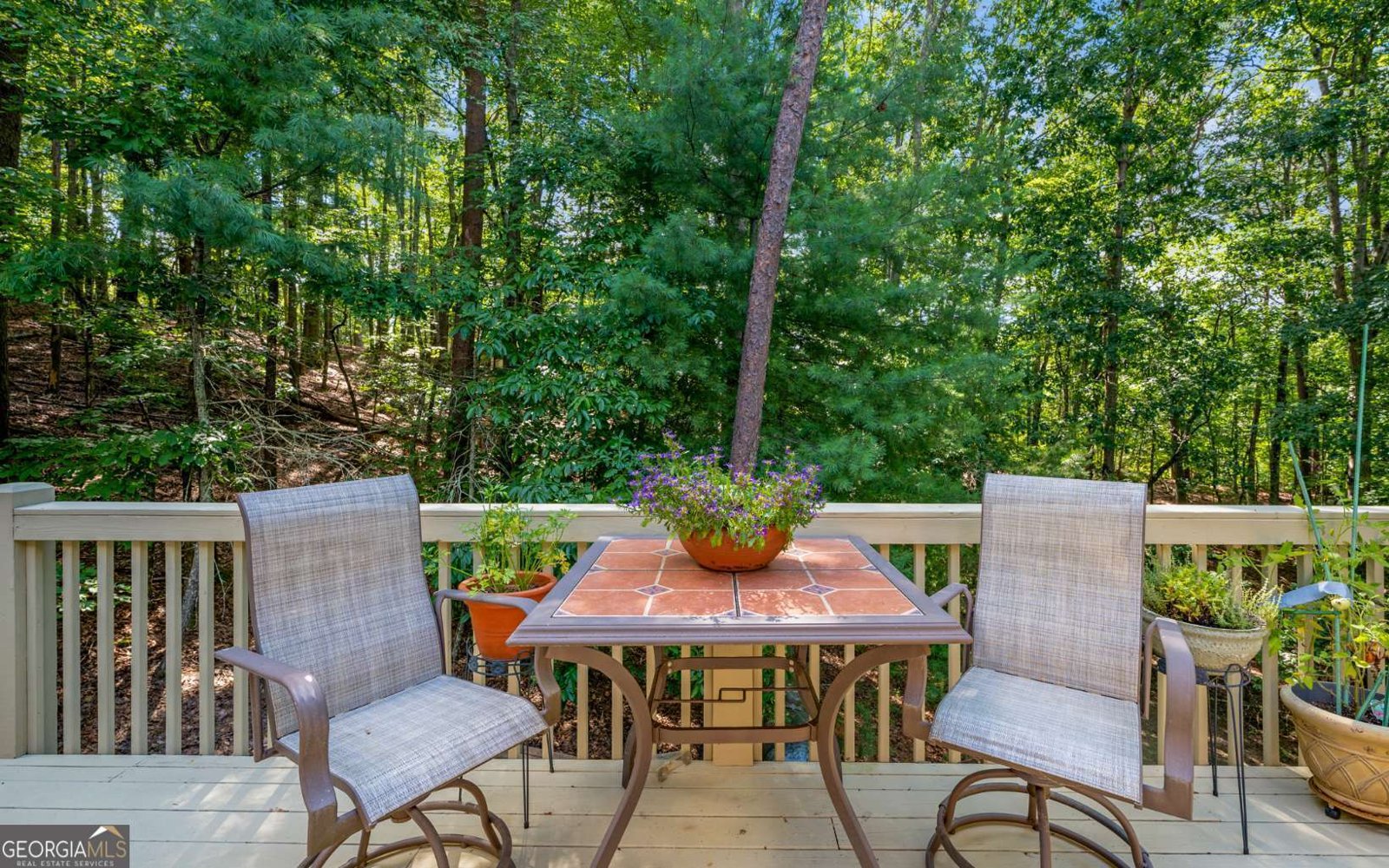 340 Choctaw Drive Ellijay - 18