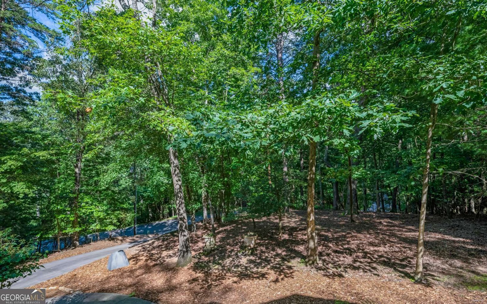 340 Choctaw Drive Ellijay - 2
