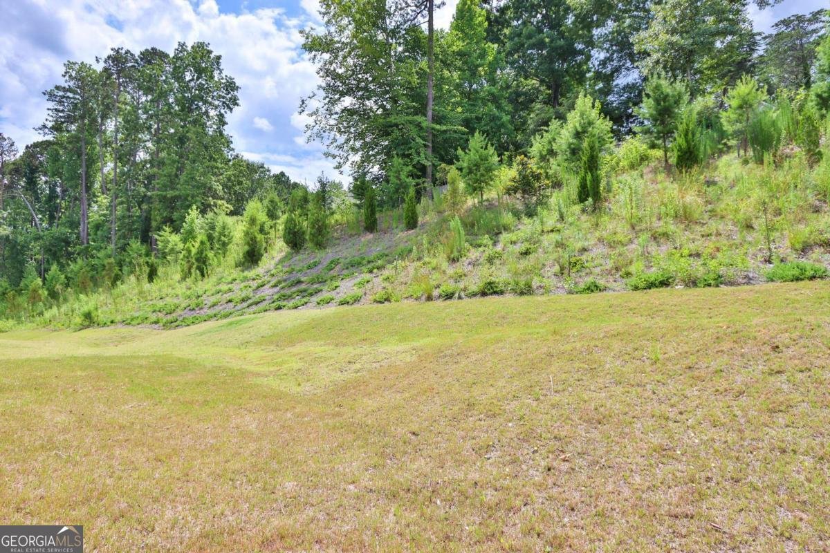 311 Wells Circle Canton - 18