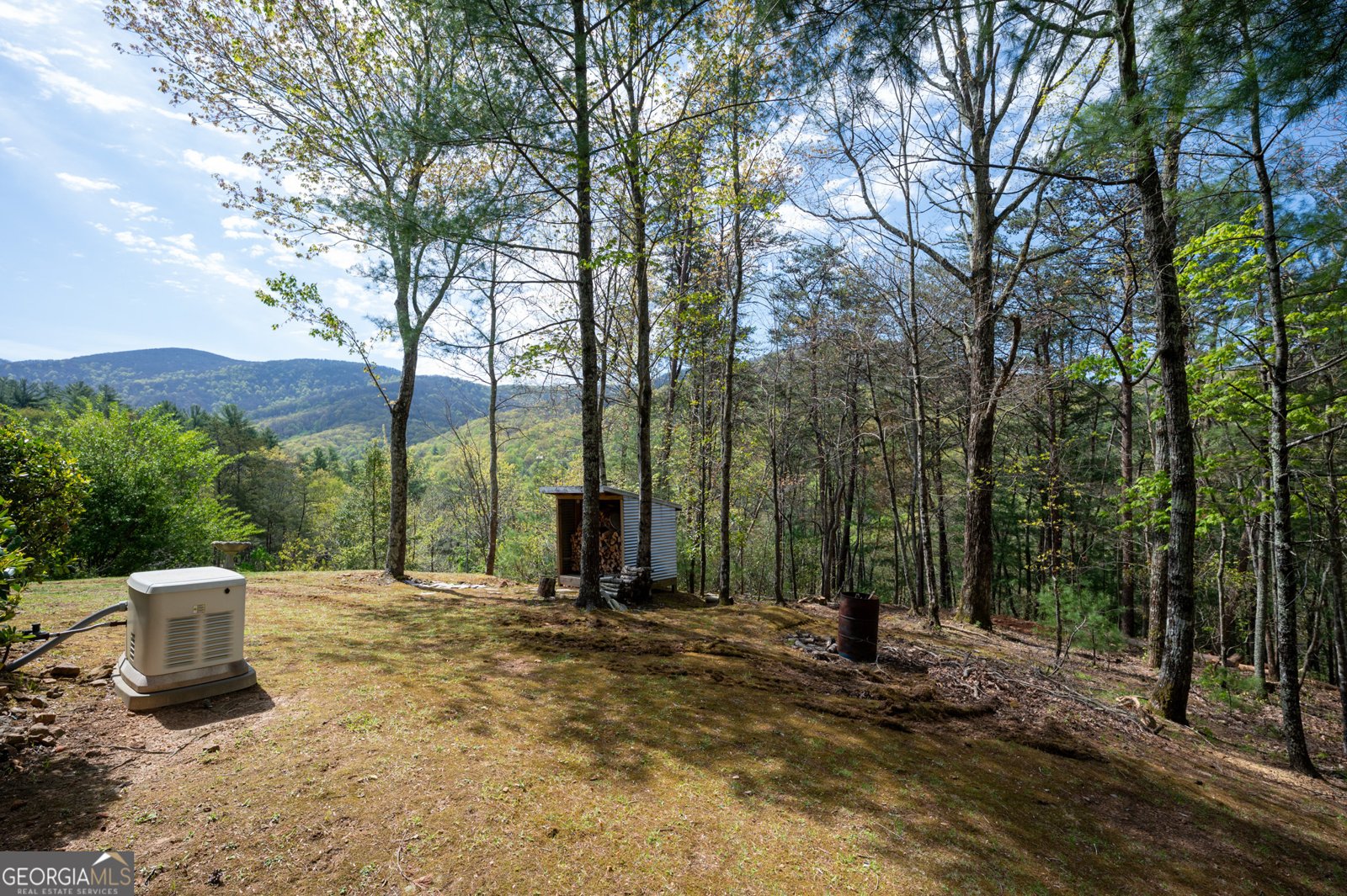 306 Pig Trail Cherry Log - 17