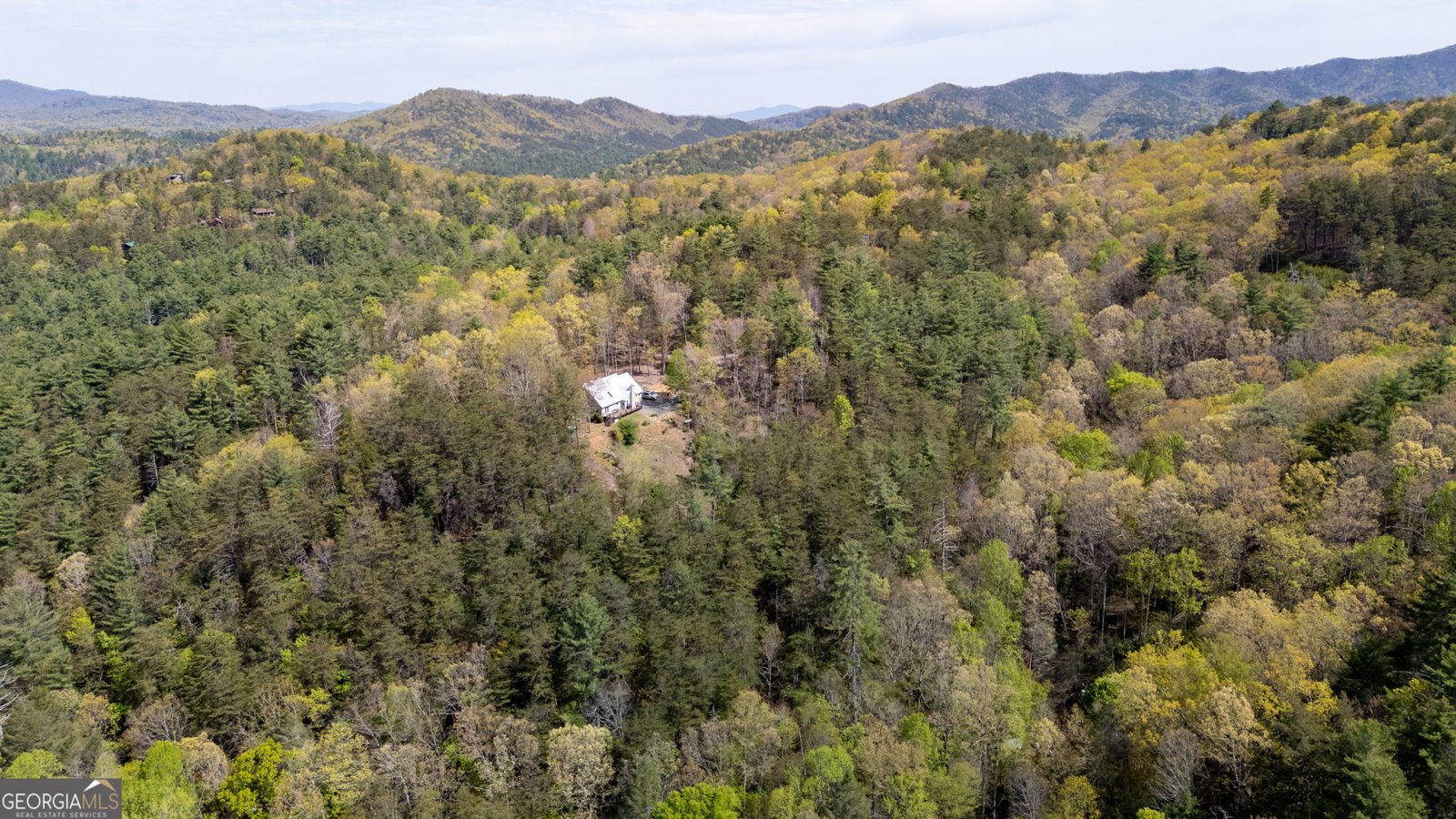306 Pig Trail Cherry Log - 3