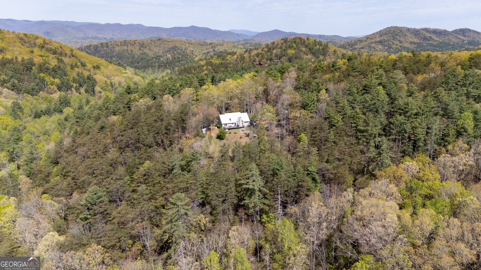 306 Pig Trail Cherry Log - 4