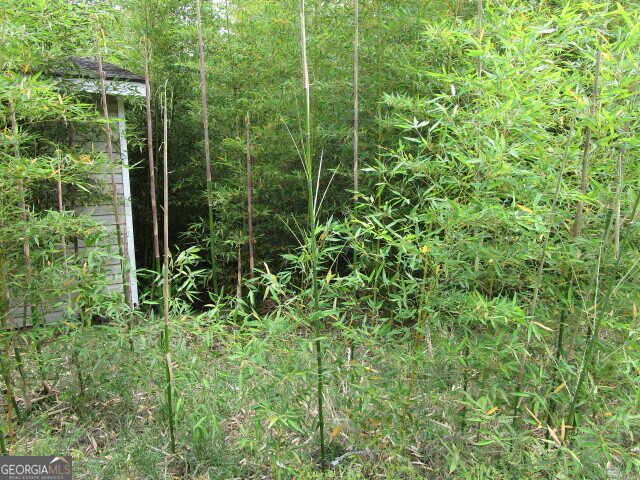 190 Youngblood Road Milledgeville - 6