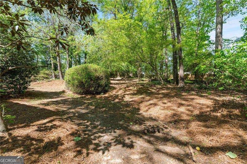 255 White Pines Drive Alpharetta - 32