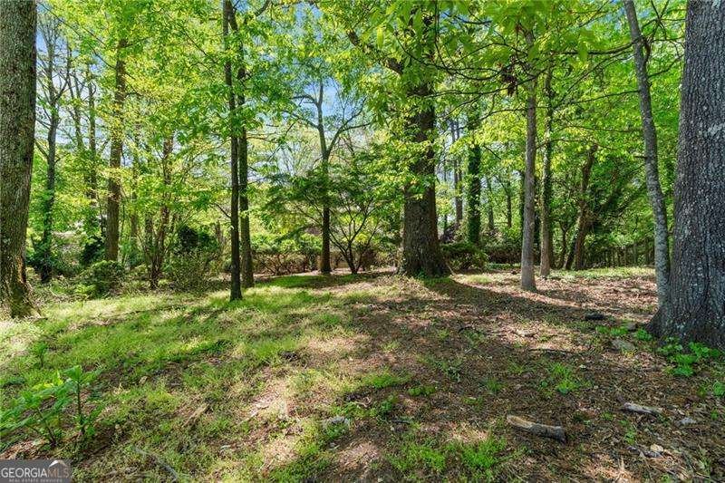 255 White Pines Drive Alpharetta - 34