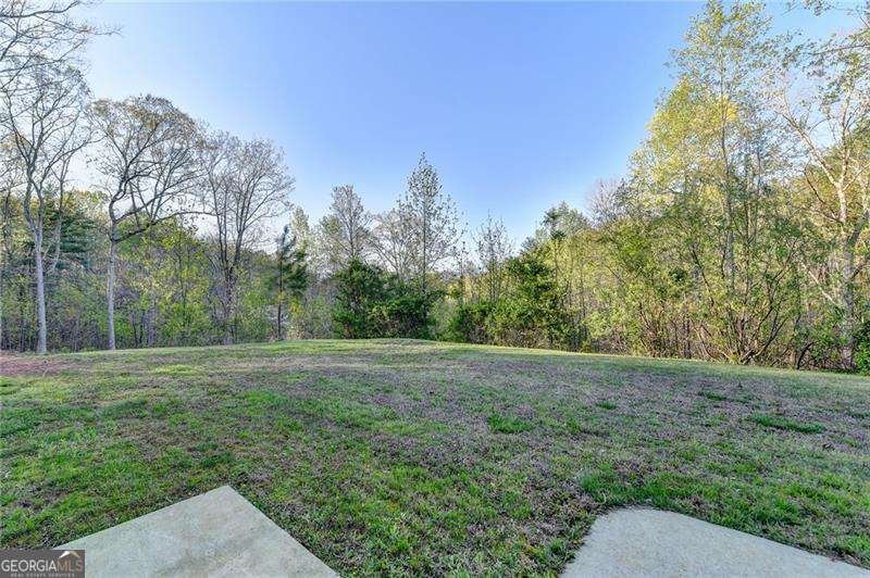 590 Ridge Road Dawsonville - 56