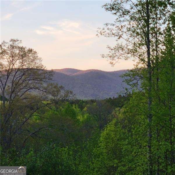 590 Ridge Road Dawsonville - 71