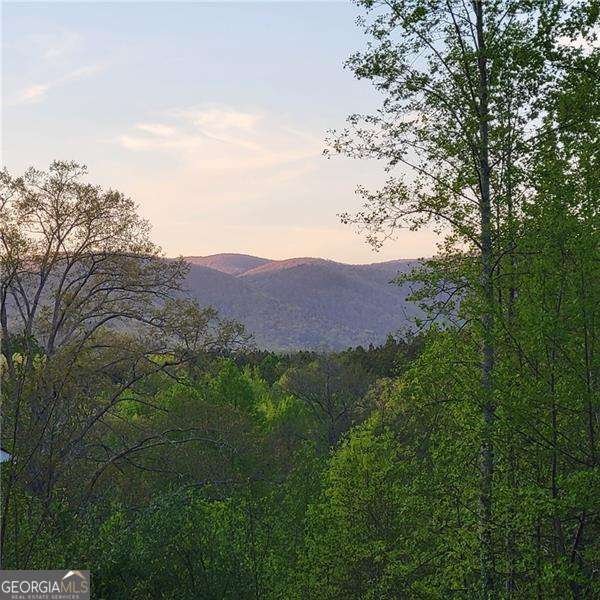 590 Ridge Road Dawsonville - 76