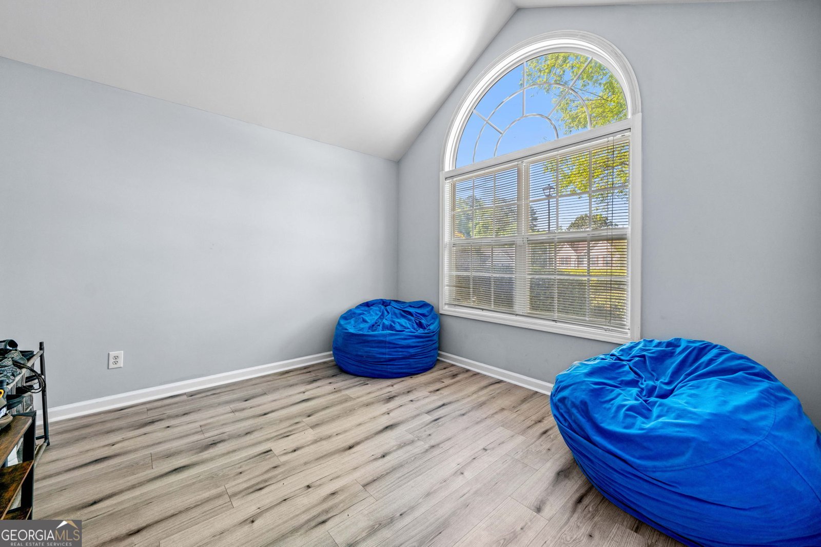 823 Langley View Court Loganville - 5