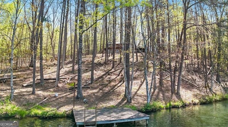784 Cedar Hollow Road Cleveland - 10