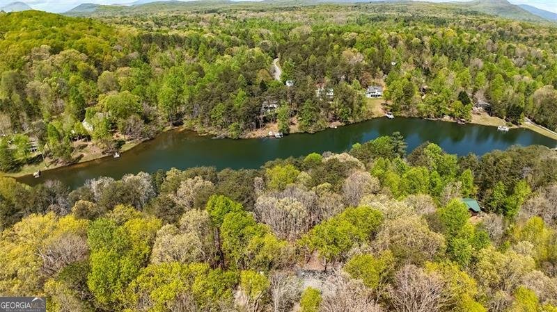 784 Cedar Hollow Road Cleveland - 6