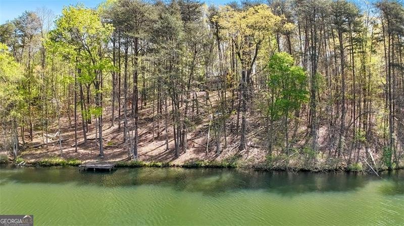 784 Cedar Hollow Road Cleveland - 8