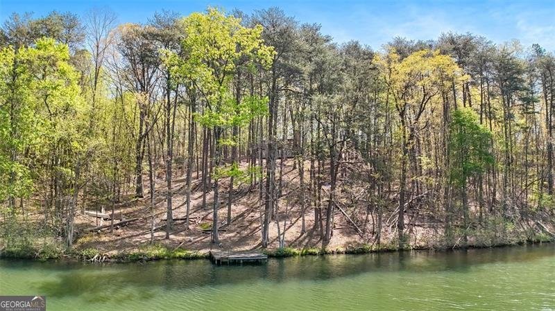 784 Cedar Hollow Road Cleveland - 9