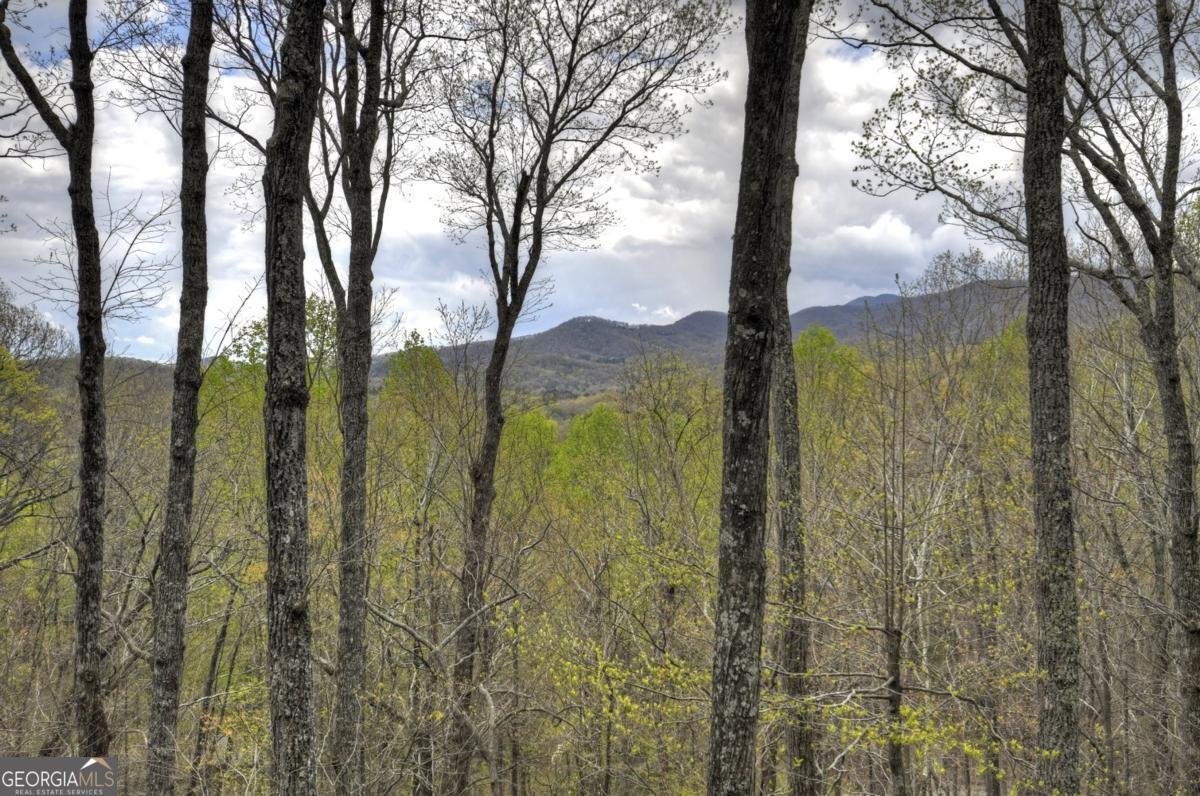 203 Chimney Rock Road Cherry Log - 49