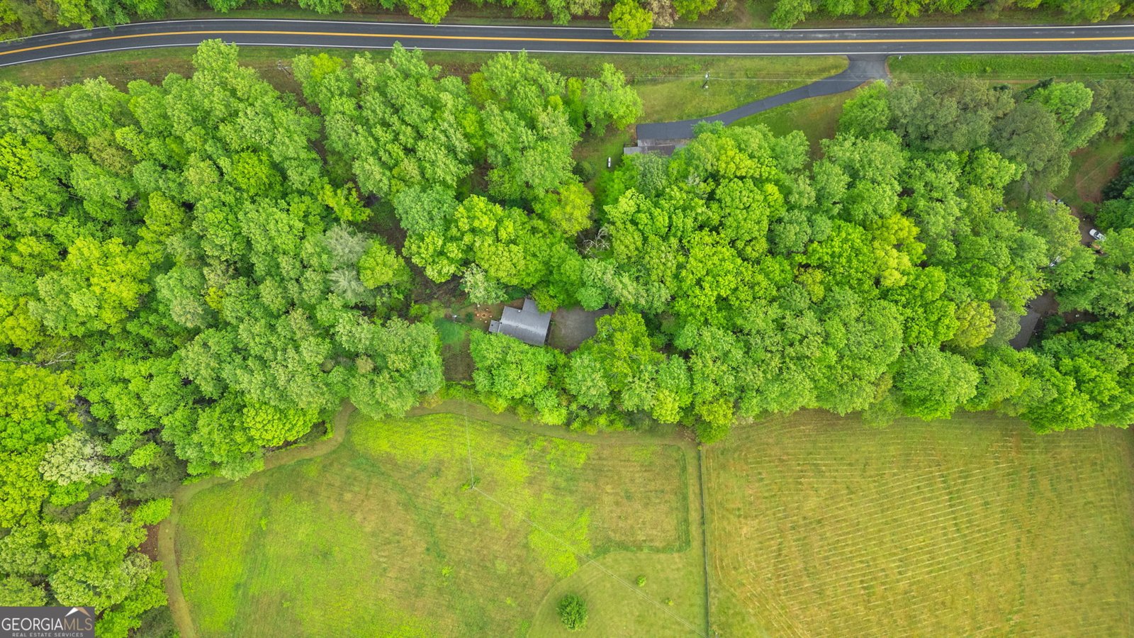 115 Maple Leaf Drive Dahlonega - 29