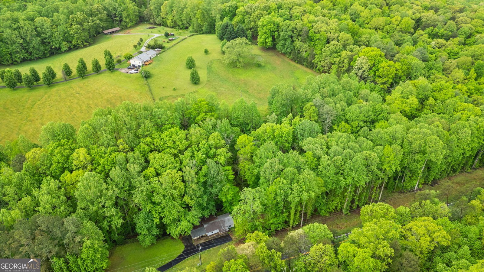 115 Maple Leaf Drive Dahlonega - 30