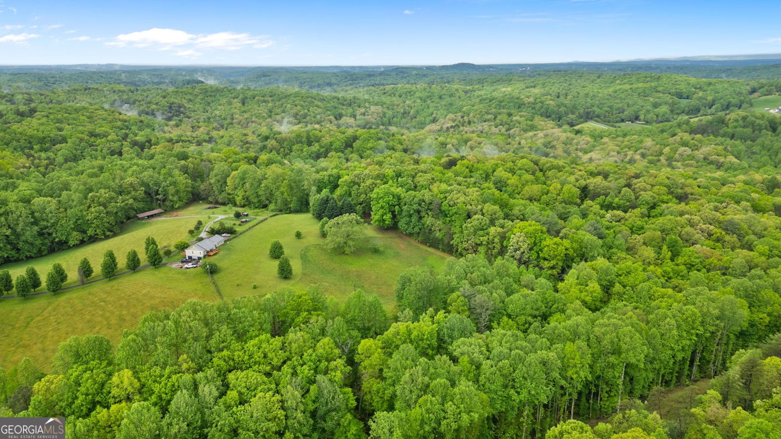 115 Maple Leaf Drive Dahlonega - 31