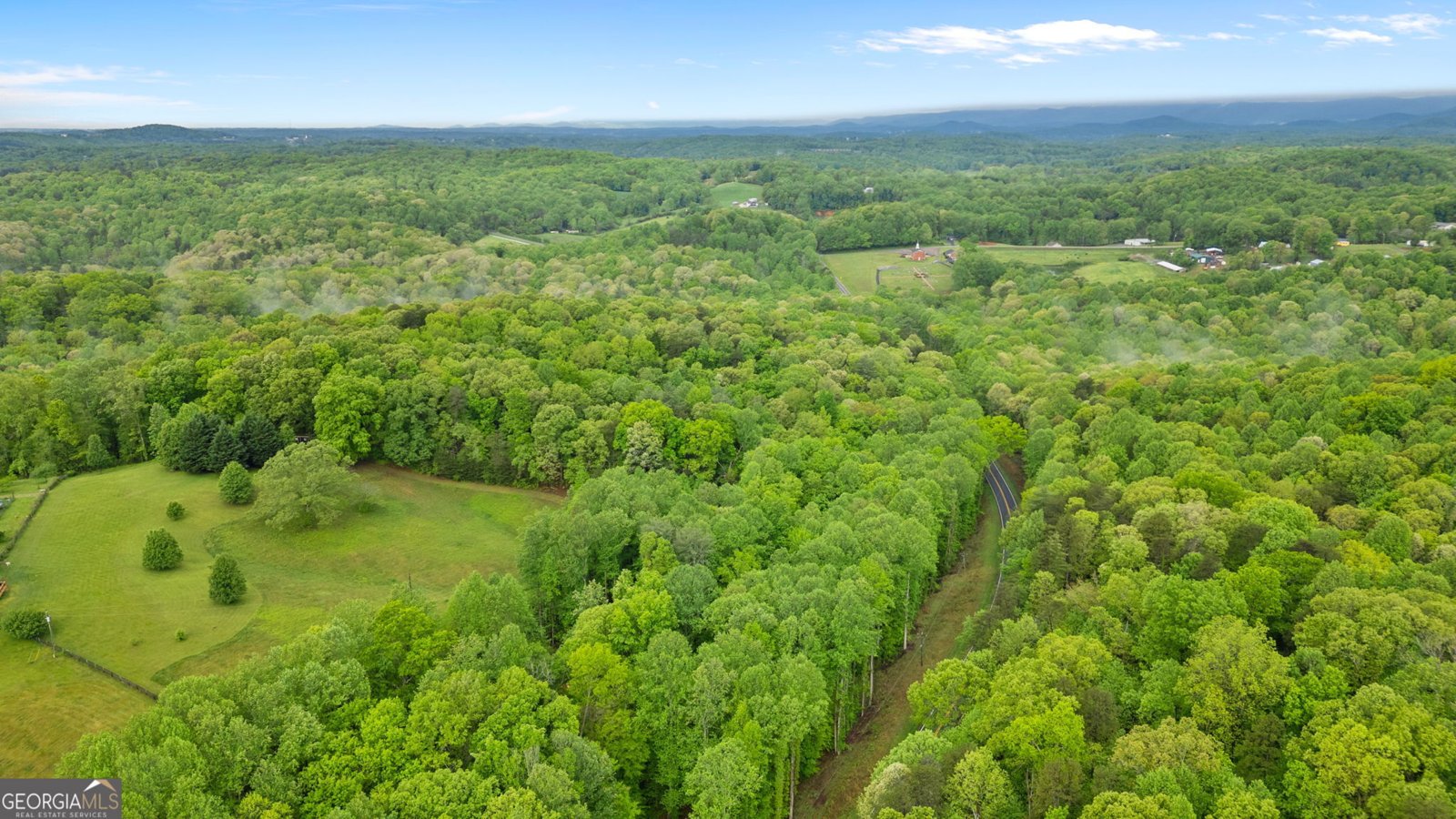115 Maple Leaf Drive Dahlonega - 32
