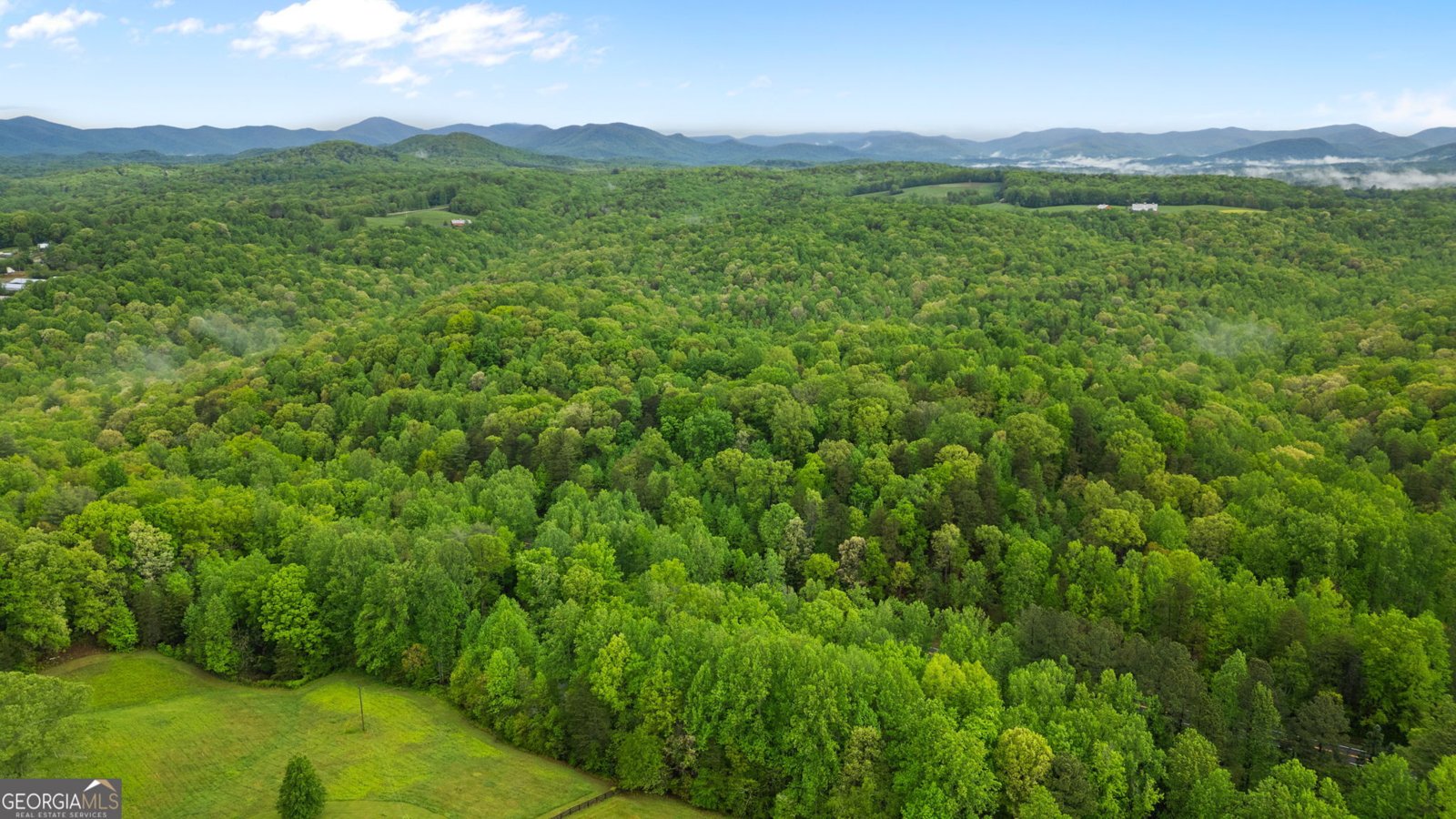 115 Maple Leaf Drive Dahlonega - 33