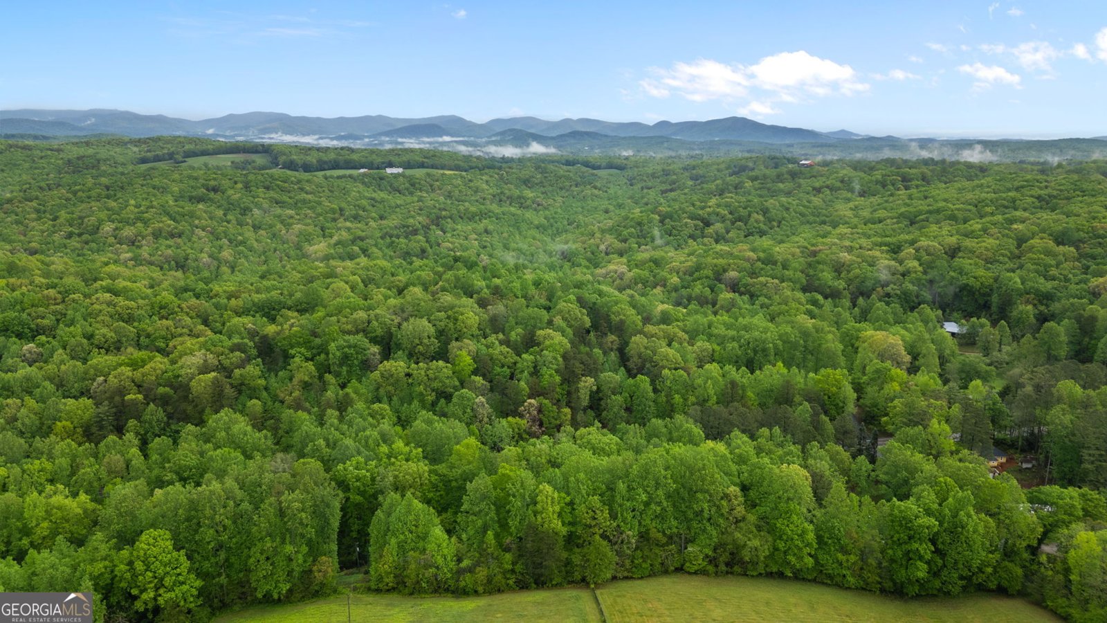 115 Maple Leaf Drive Dahlonega - 34