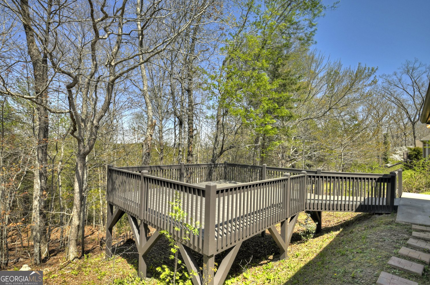 110 Lindsey Lane Blue Ridge - 18