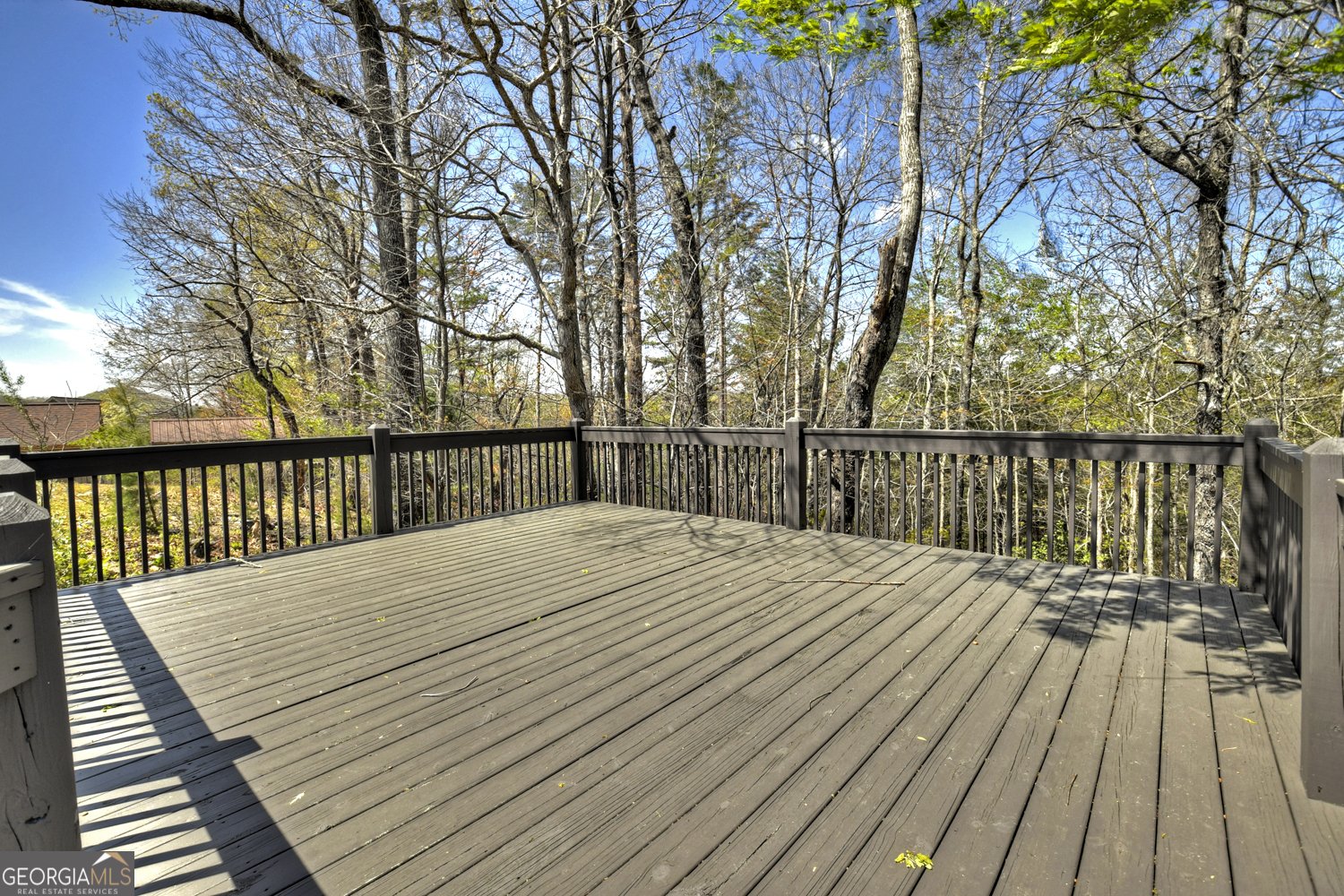 110 Lindsey Lane Blue Ridge - 20