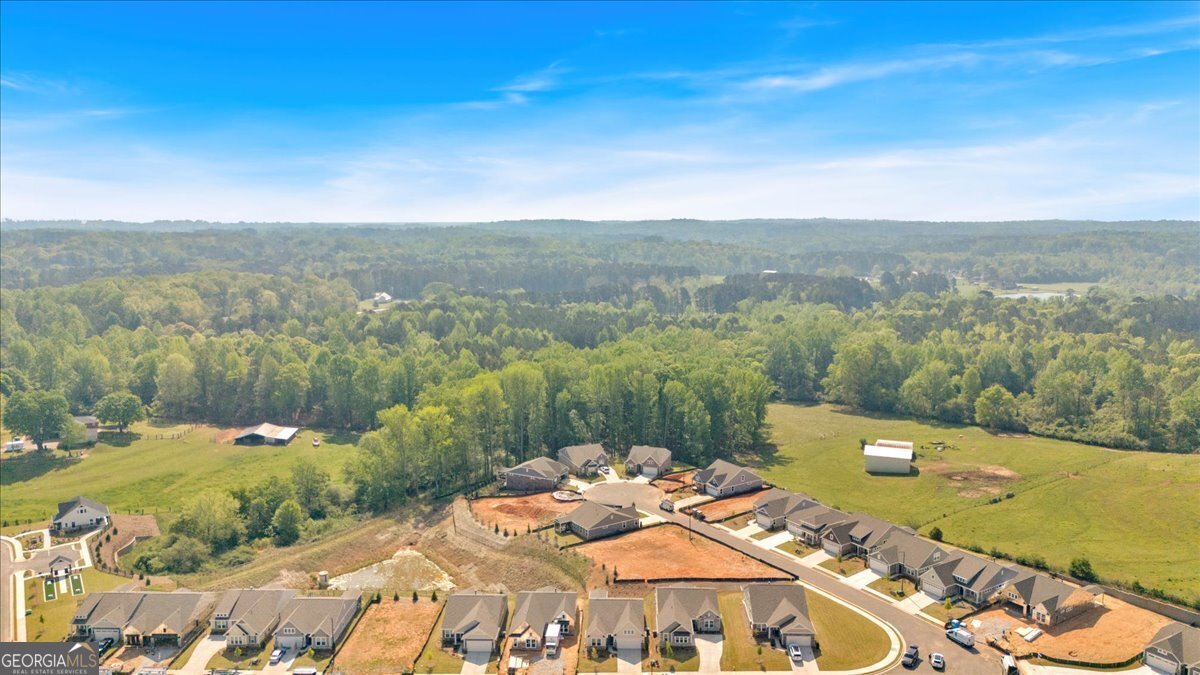 127 Laurel Farms Lane Dallas - 47