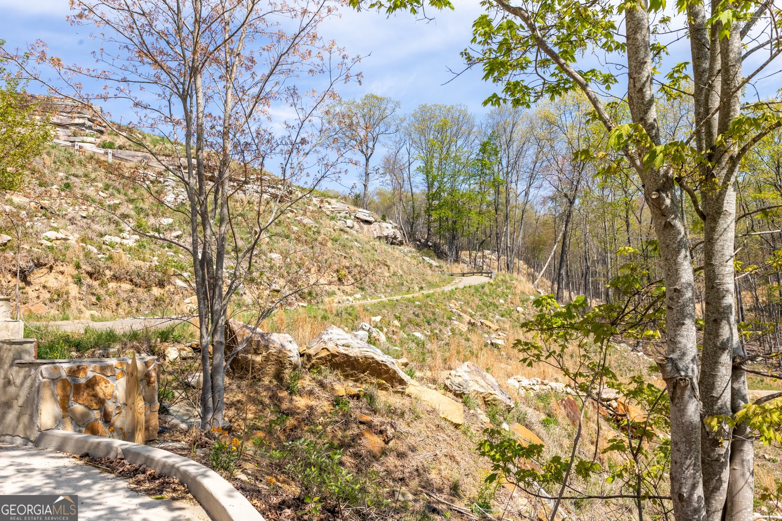 159 Eagle Creek Trail Rising Fawn - 34