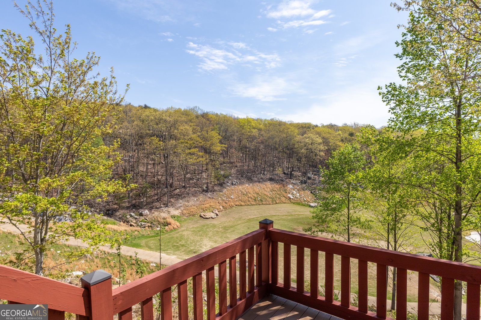 159 Eagle Creek Trail Rising Fawn - 7