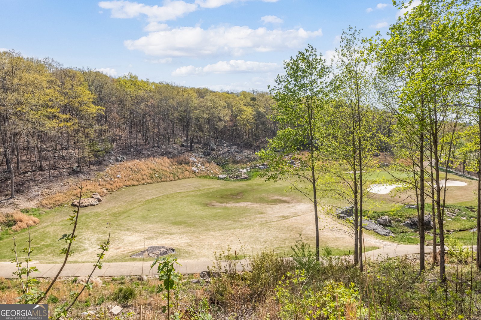 159 Eagle Creek Trail Rising Fawn - 8
