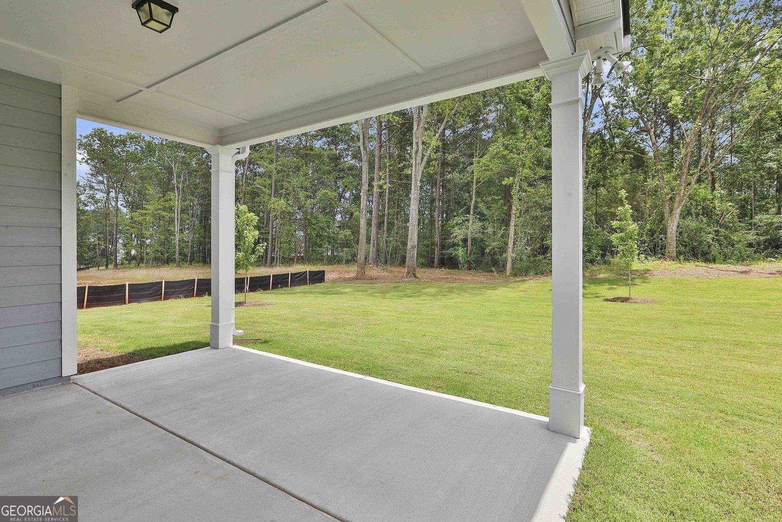 45 Cushing Street Senoia - 39