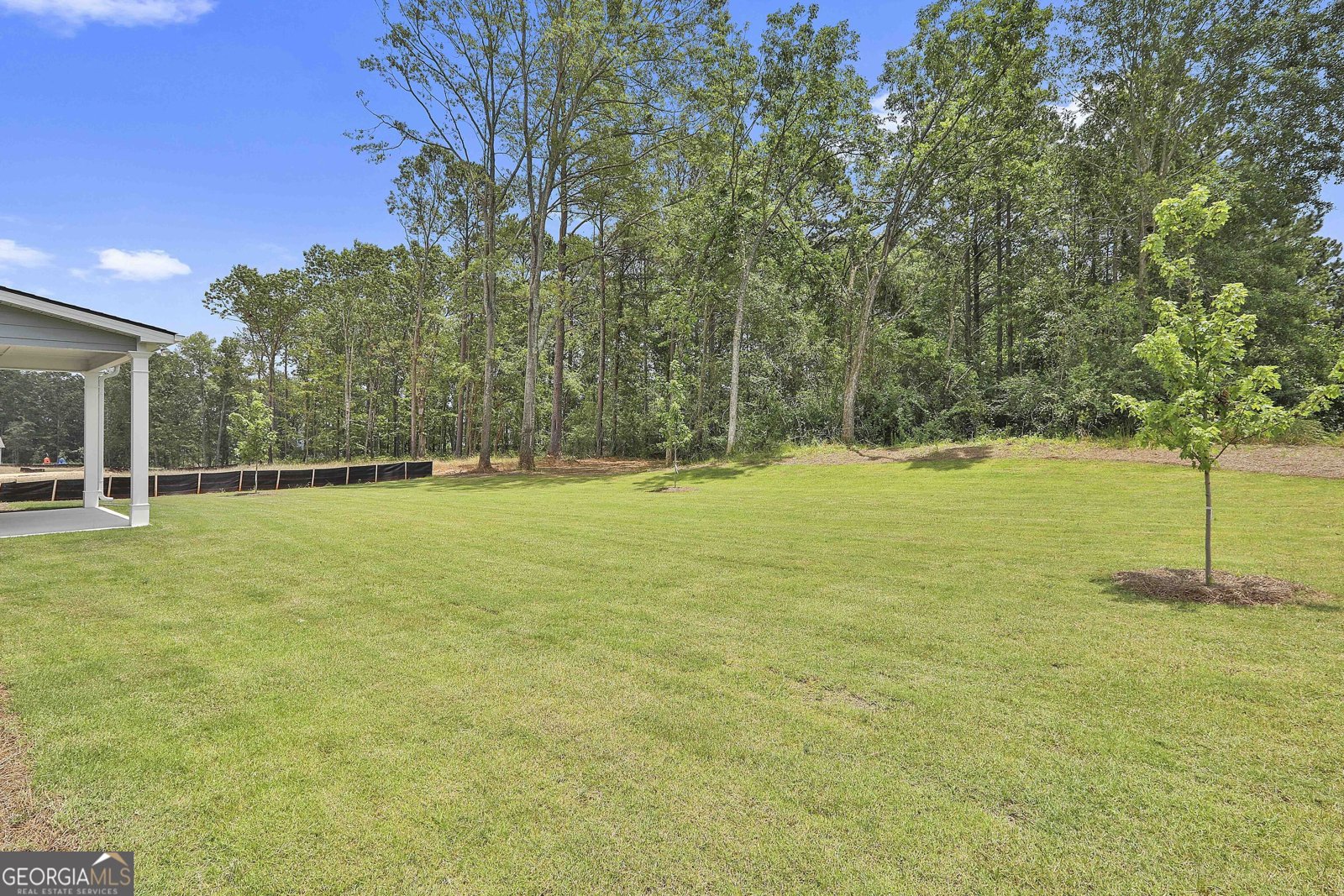 45 Cushing Street Senoia - 40