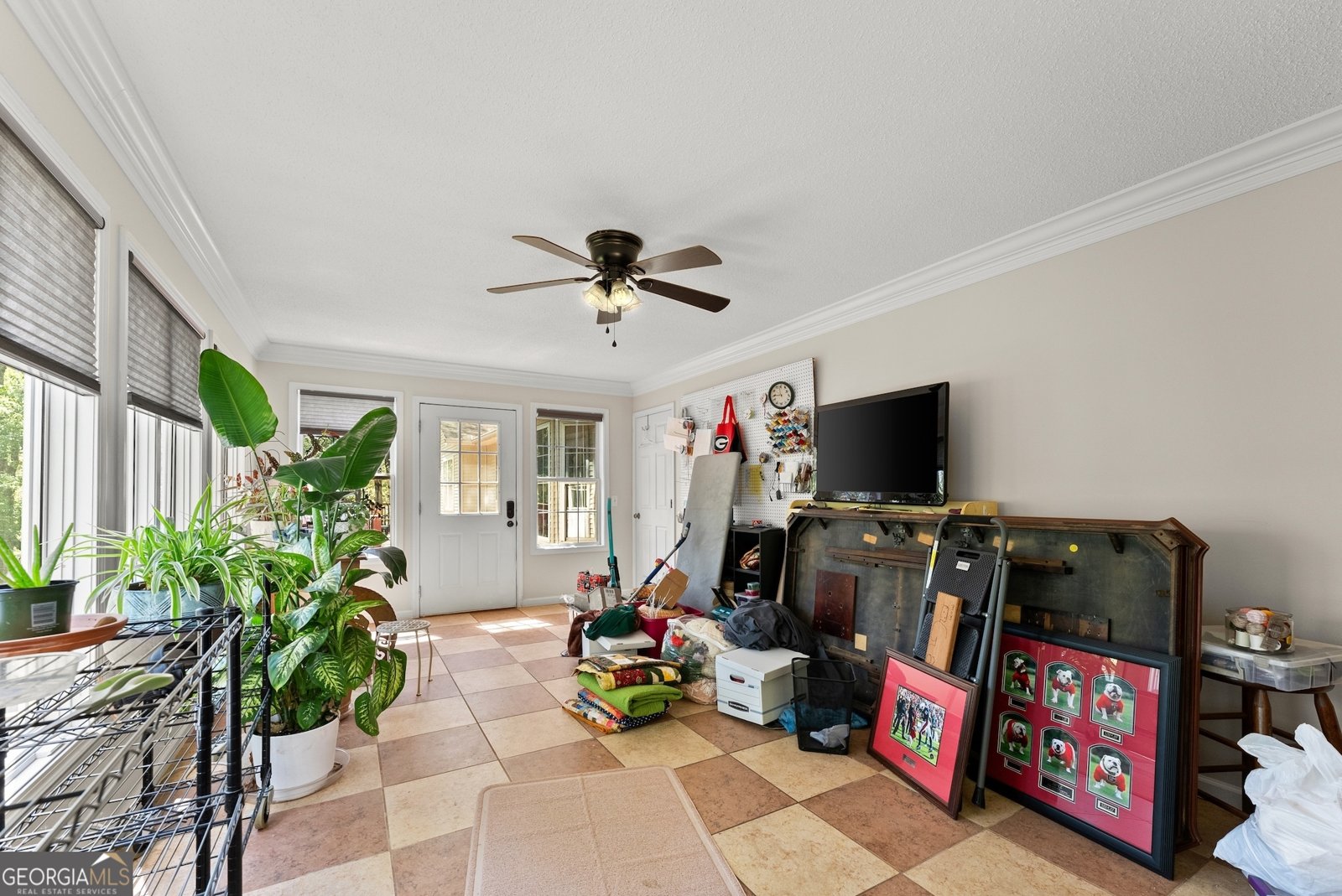 116 Savannah Terrace Demorest - 19