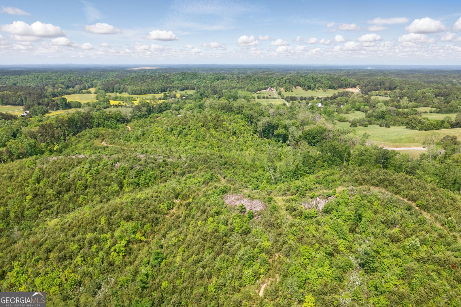 1009 Liberty Church Road Ranger - 37