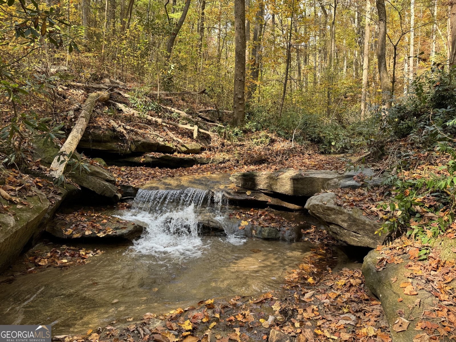 1524 11 Highway Landrum - 33