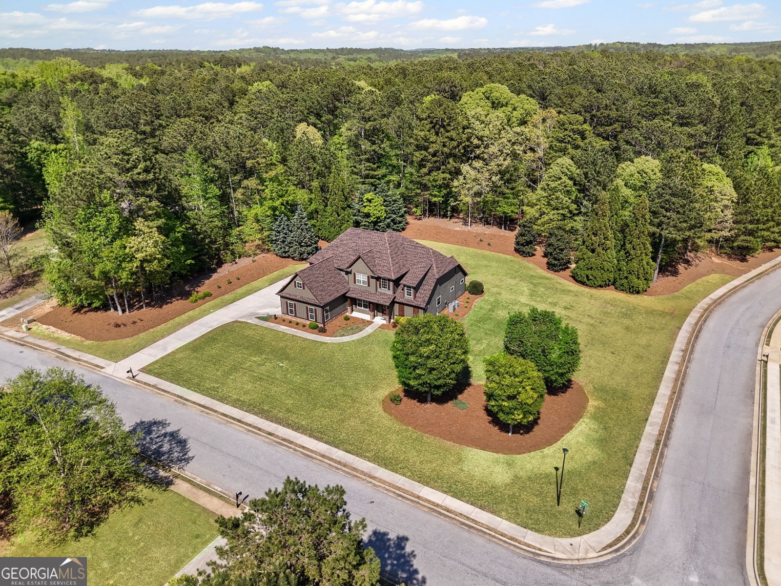 189 Willowleaf Way Sharpsburg - 4