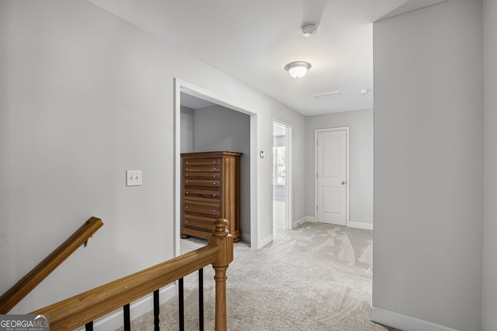 189 Willowleaf Way Sharpsburg - 51